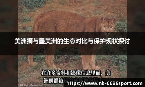 6686官方网站