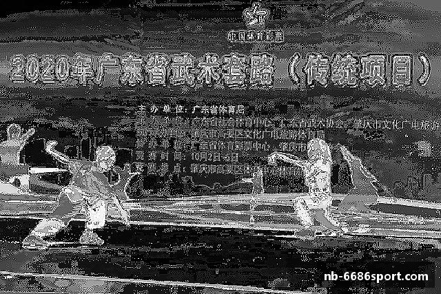 关于6686